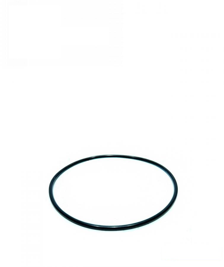 pierścień uszczelniający F2573RR (F2573R) (HDParts-AG, Niemcy)