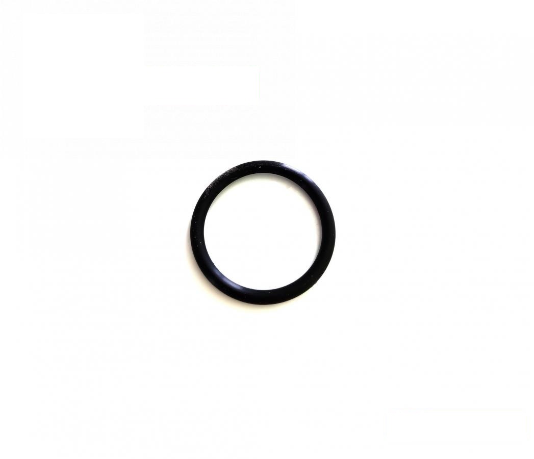 pierścień uszczelniający R29463R (R29463) (HDParts-AG, USA)