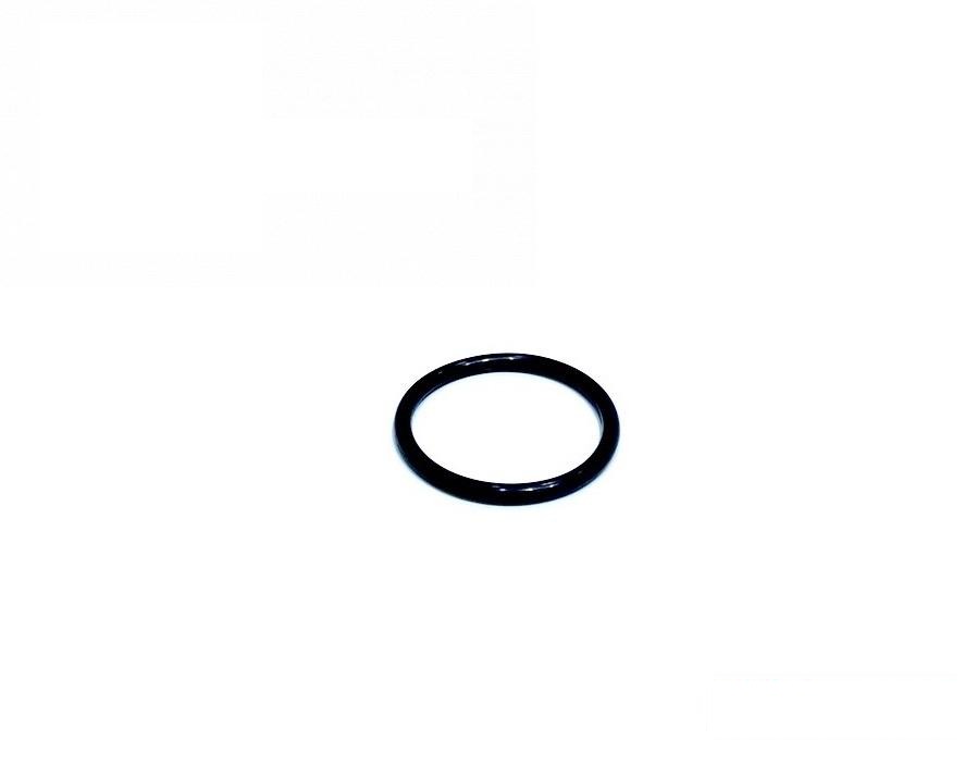 pierścień uszczelniający U10289R (U10289) (HDParts-AG, USA)