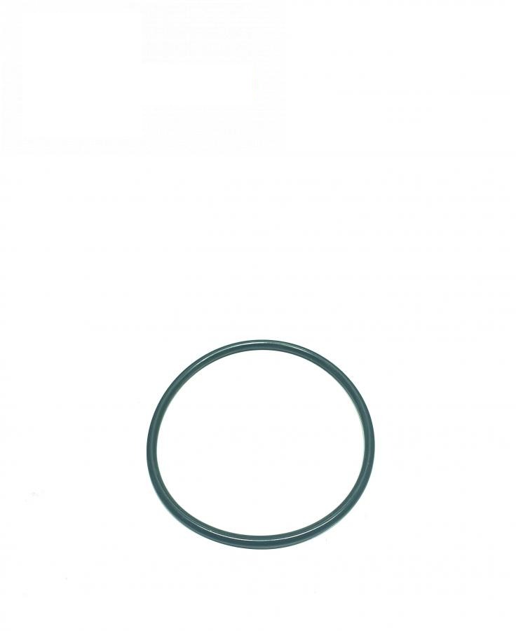 sealing ring R95494 (John Deere, Original)