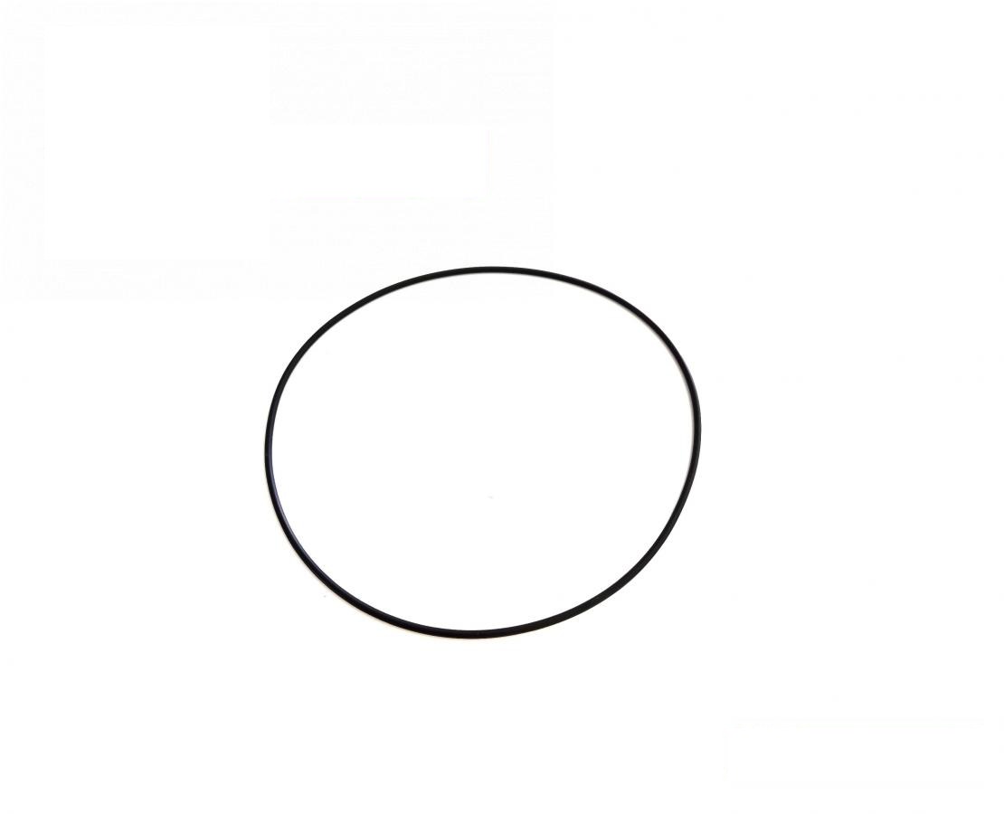 pierścień uszczelniający R99039R (R99039) (HDParts-AG, USA)
