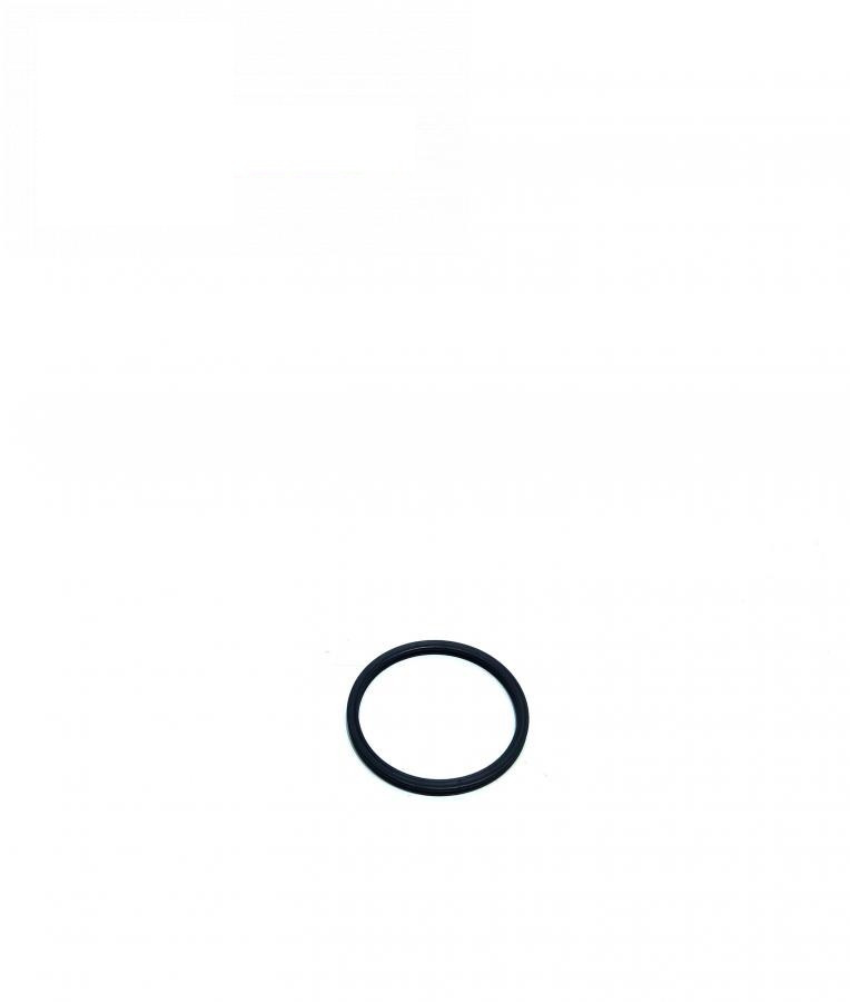 sealing ring R118205 (John Deere, Original)