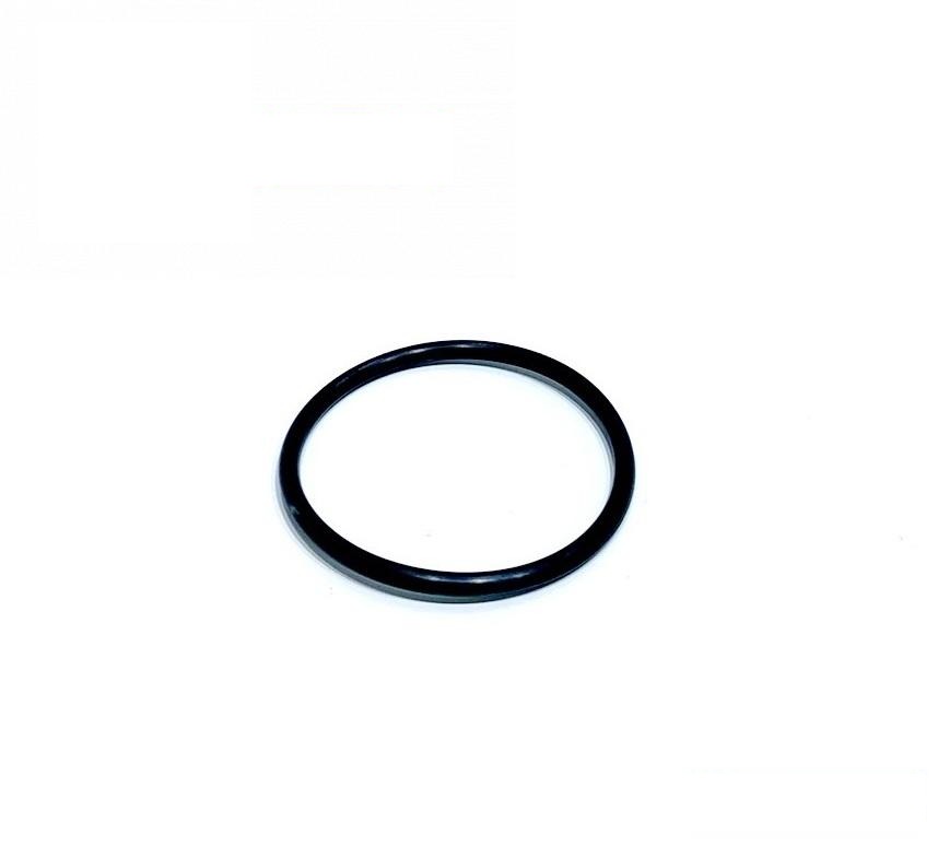 sealing ring Z44829R (Z44829) (HDParts-AG, USA)