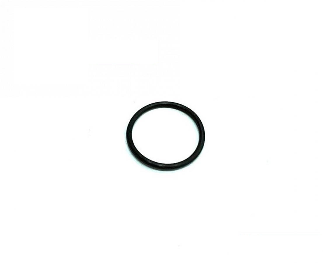 pierścień uszczelniający P42061R (P42061) (HDParts-AG, USA)