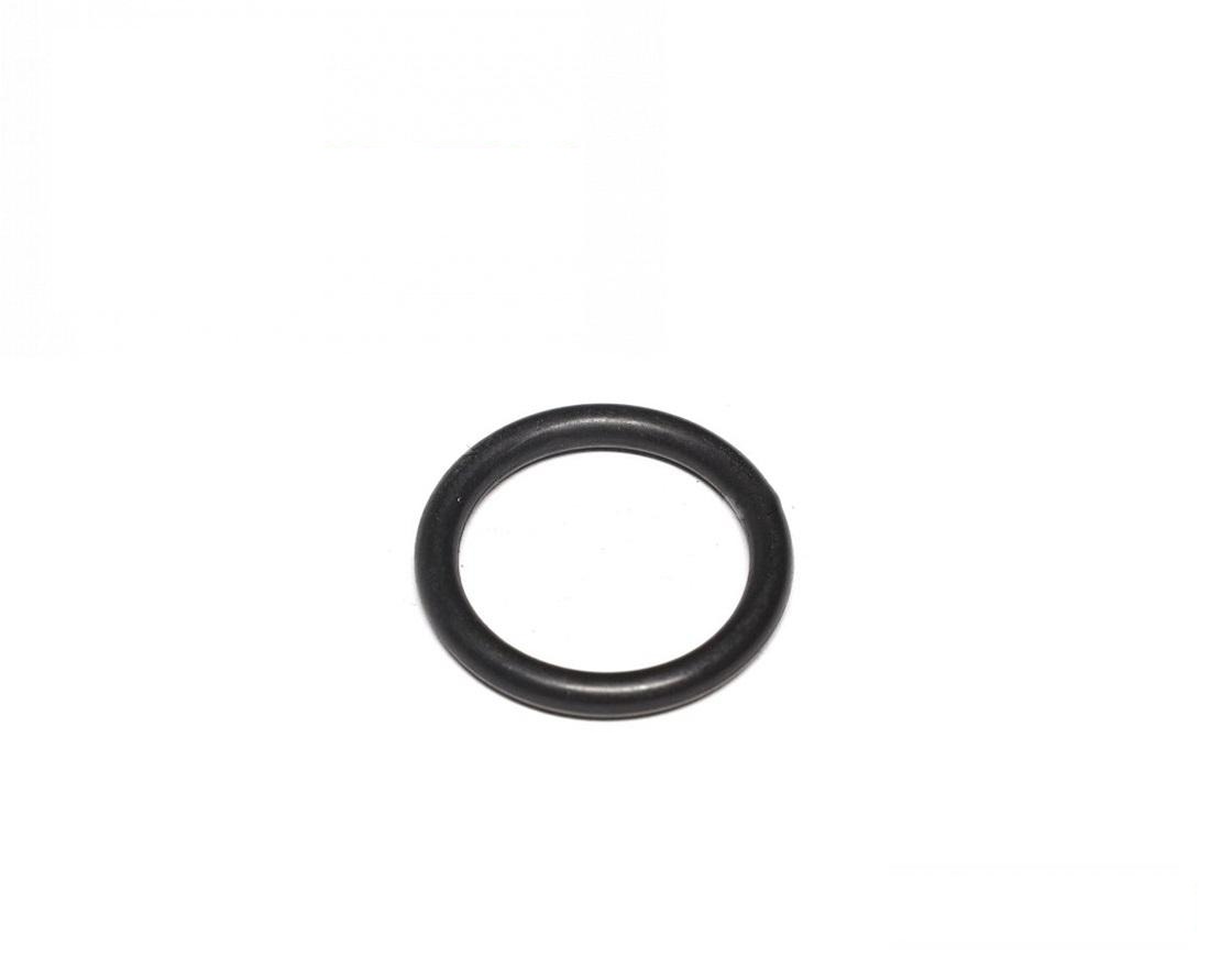 pierścień uszczelniający P48347R (P48347) (HDParts-AG, USA)