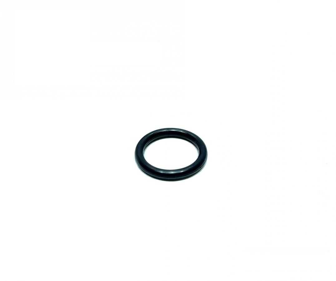 pierścień uszczelniający R495RHD (R495R) (HDParts-AG, Niemcy)