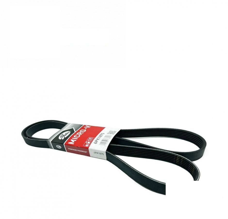 pas 6PK1875 (HXE69281, 6PK1877) (Gates, USA)