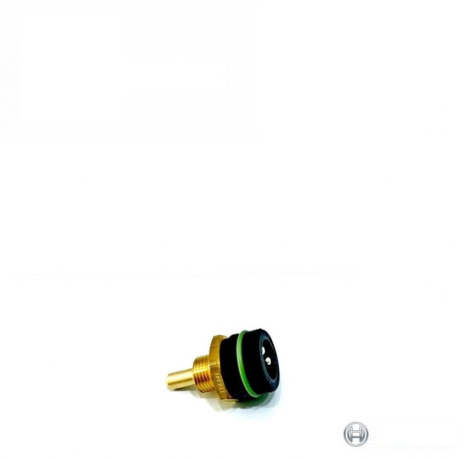 fuel temperature sensor (RE28217) (BOSCH, Germany)