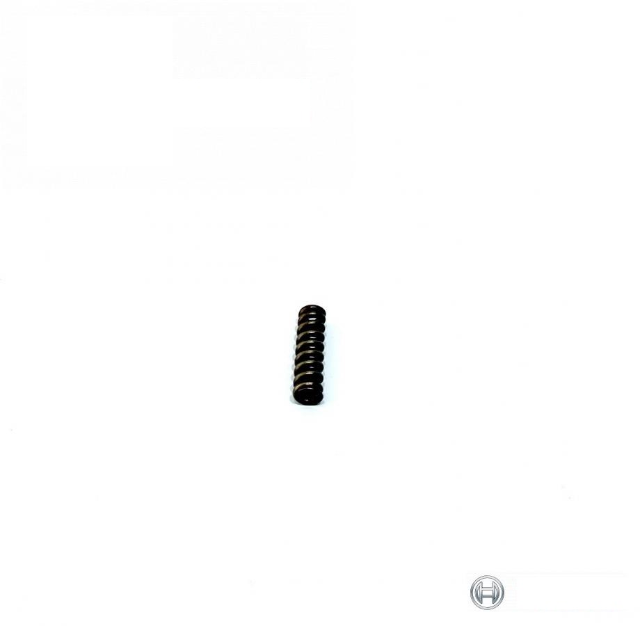sprężyna wtryskiwacza (R108699) (BOSCH, Niemcy)