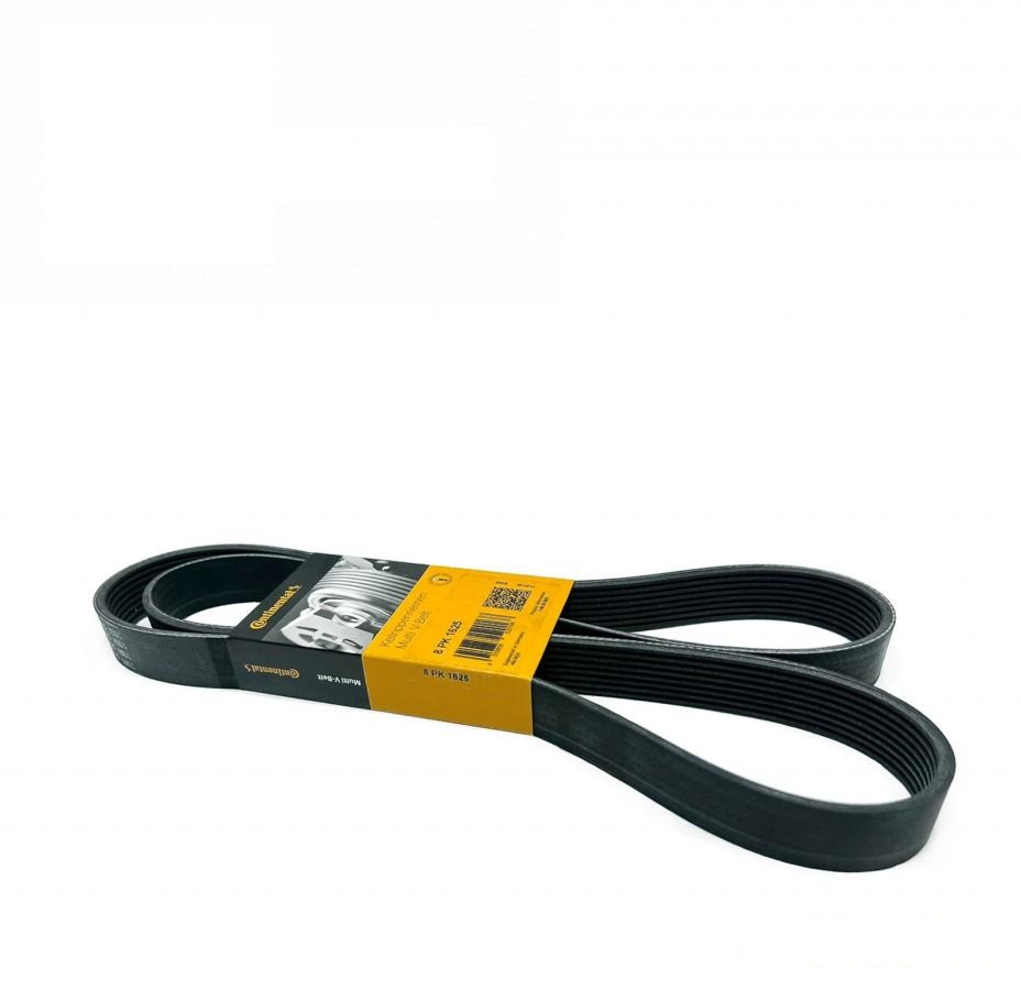 V-ribbed belt 8PK1625 (N411900) (Continental, Germany)
