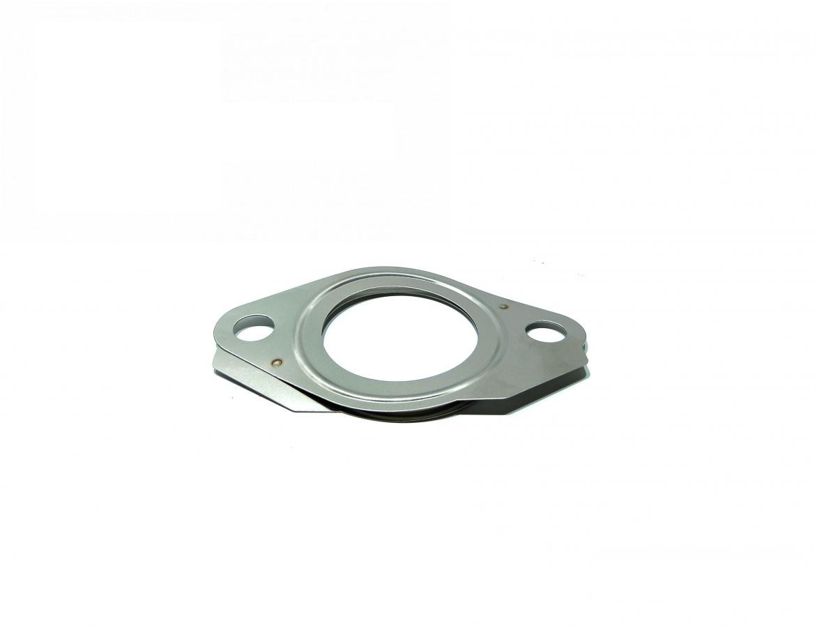uszczelka do silnika Stainless Steel R519361R (R519361, R534605) (HDParts-AG, USA)