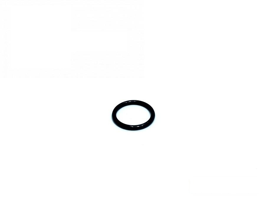 seal ring F3171RR (F3171R, F3171) (HDParts-AG, USA)