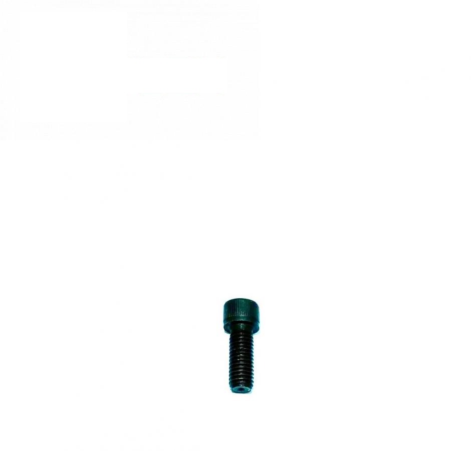 śruba z gniazdem sześciokątnym 19M8169 M12X30 (John Deere, Oryginał)