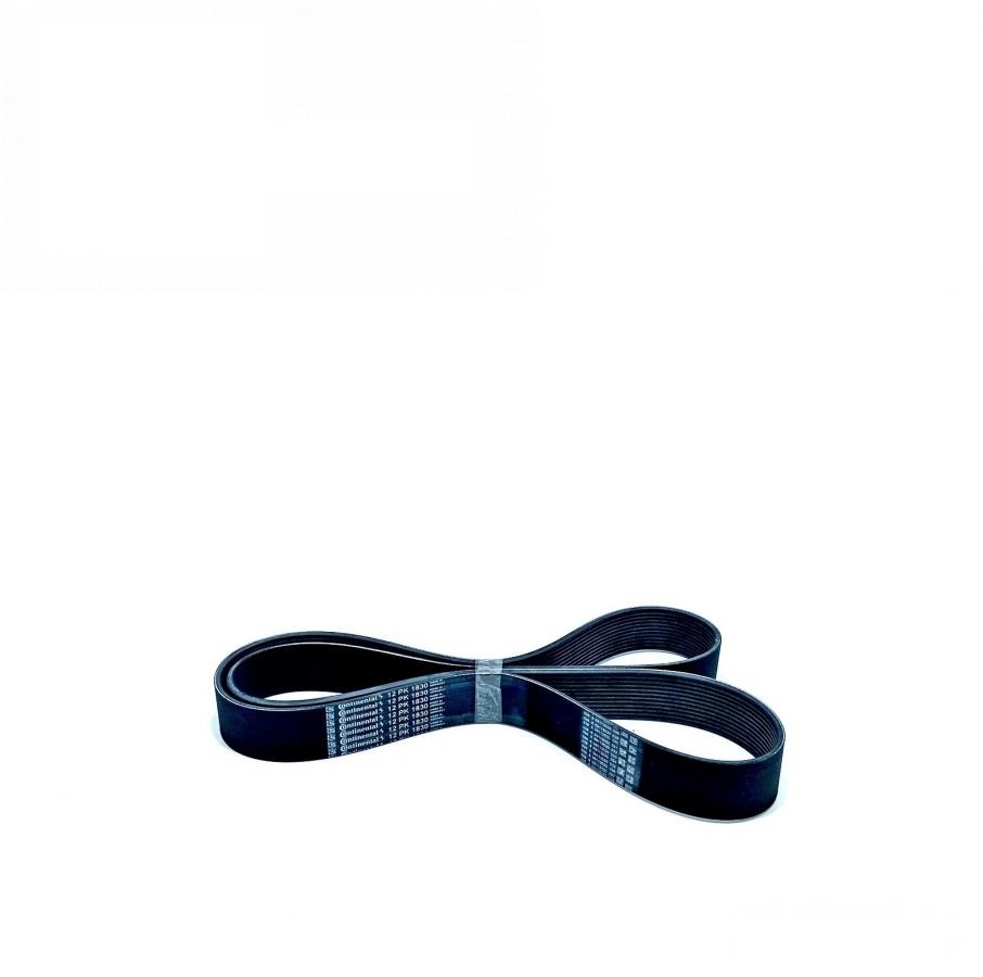 poly V-belt 12PK1830HD (R503312, R131622, DZ119641) (DAYCO, USA)