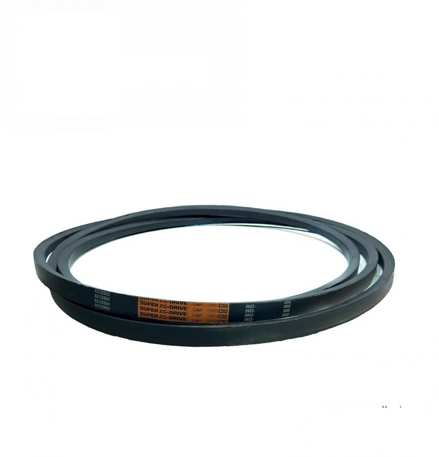 belt (from motor) AG12280W (H125380, H79795, 061701, HC188, 1402358, 1000791) (TIMKEN BELTS, USA)