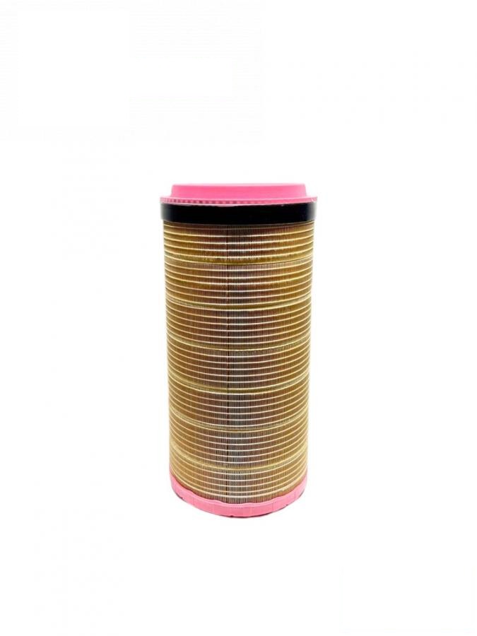 air filter C251020 (AN403918) (MANN-FILTER, Germany)