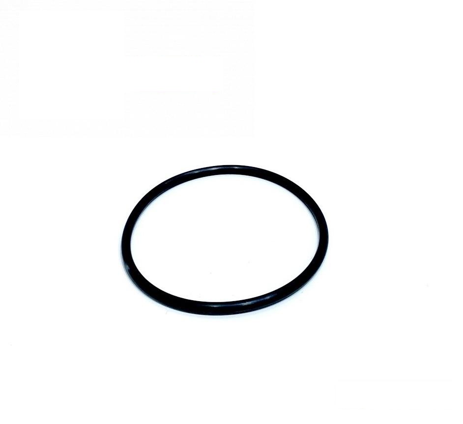 pierścień uszczelniający Z44828R (Z44828) (HDParts-AG, USA)