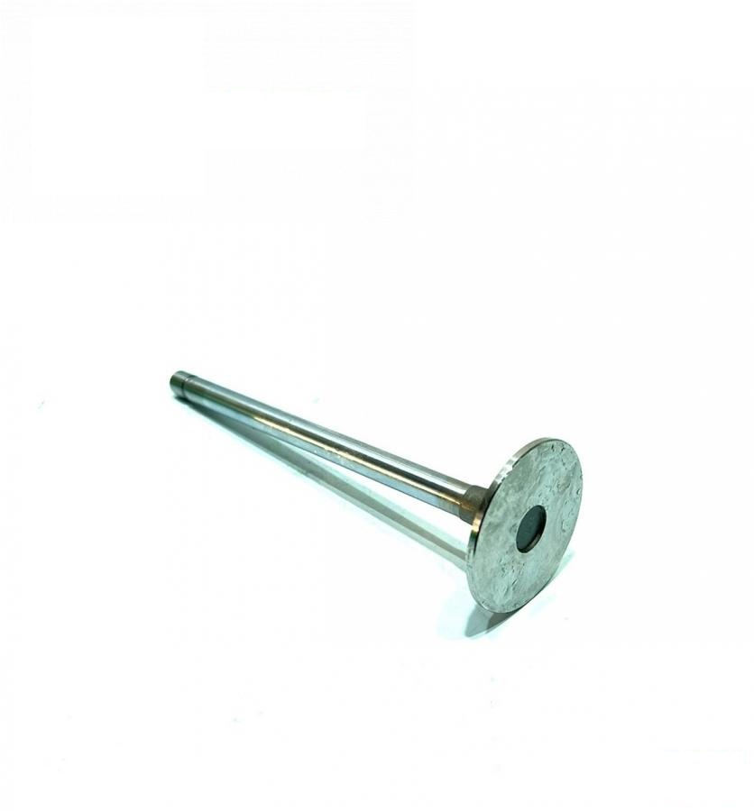 exhaust valve standard AS-R520224 (R520224) (AssurPower Parts, China)