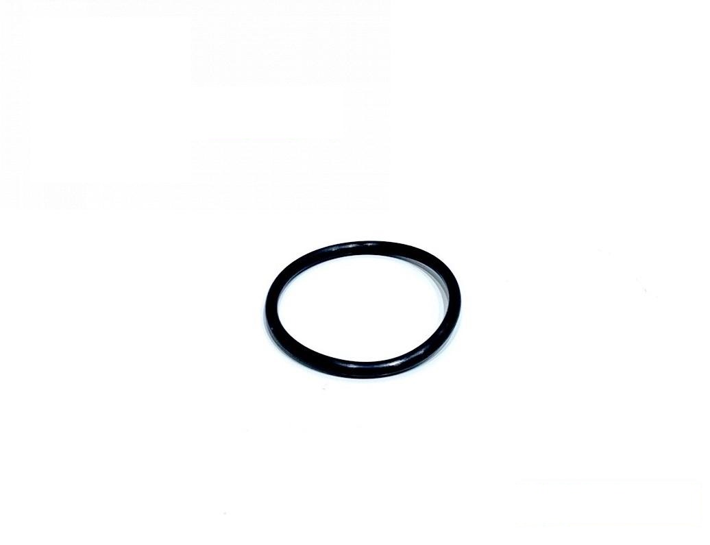 pierścień uszczelniający R31378R (R31378) (HDParts-AG, USA)