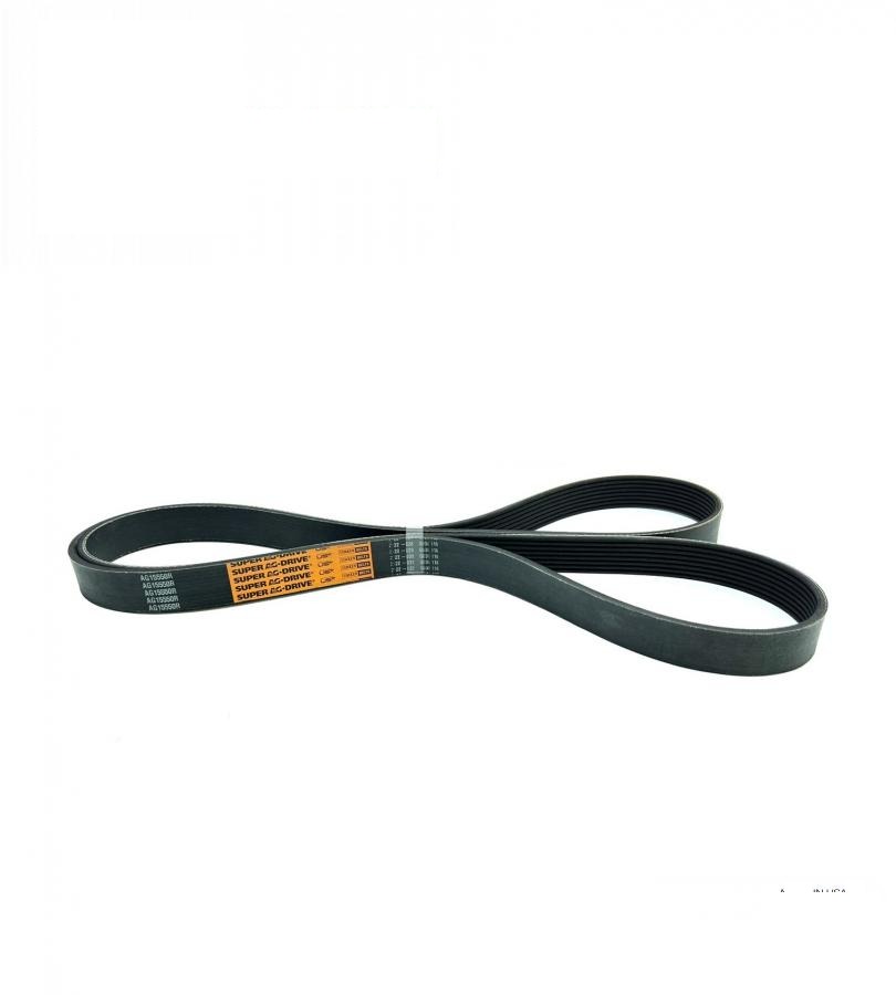 pas AG15550R (R503505, R131435, R136384, 8PK2175, 1003207) (TIMKEN BELTS, USA)
